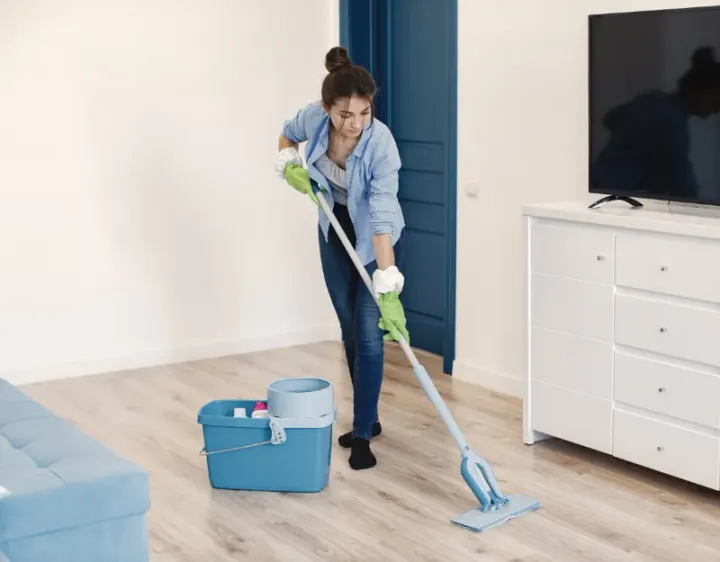 Femme de ménage Le Pêchereau